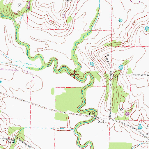 Topographic Map of Big Branch, TX