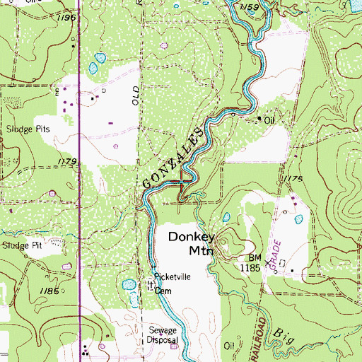Topographic Map of Big Branch, TX
