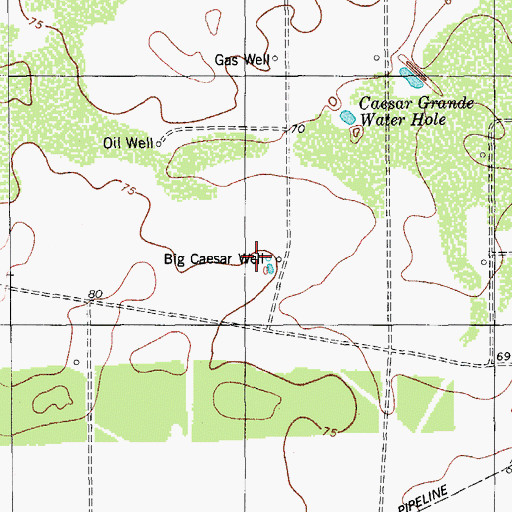 Topographic Map of Big Caesar Well, TX