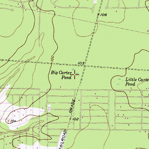 Topographic Map of Big Carter Pond, TX
