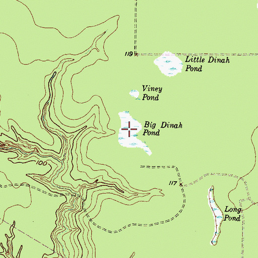 Topographic Map of Big Dinah Pond, TX