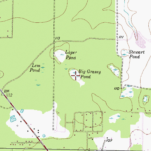 Topographic Map of Big Grassy Pond, TX