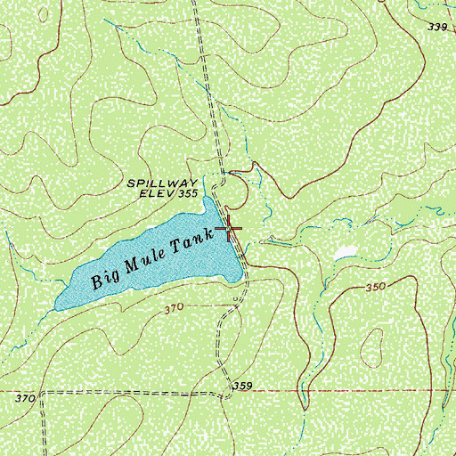 Topographic Map of Big Mule Tank, TX