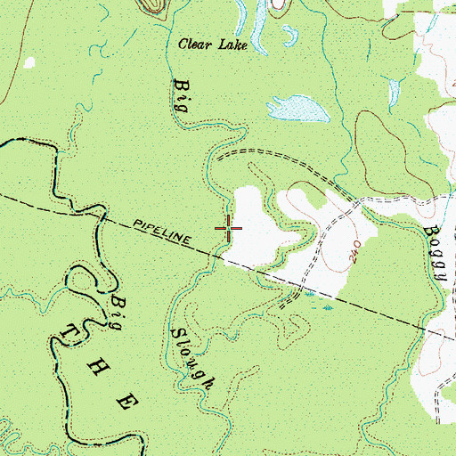 Topographic Map of Big Slough, TX