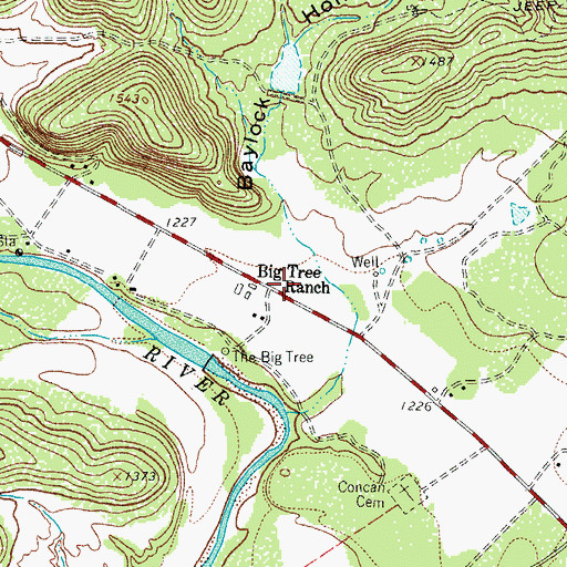 Topographic Map of Big Tree Ranch, TX