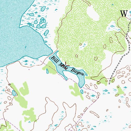 Topographic Map of Bill Mott Bayou, TX
