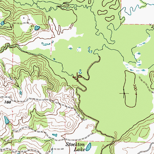 Topographic Map of Birches Creek, TX