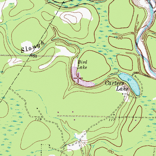 Topographic Map of Bird Lake, TX