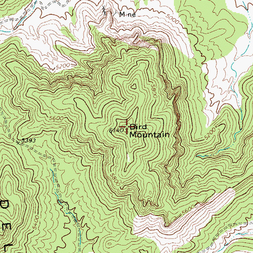 Topographic Map of Bird Mountain, TX
