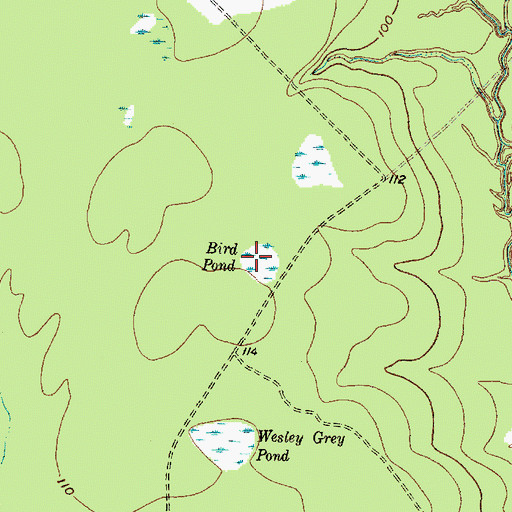 Topographic Map of Bird Pond, TX