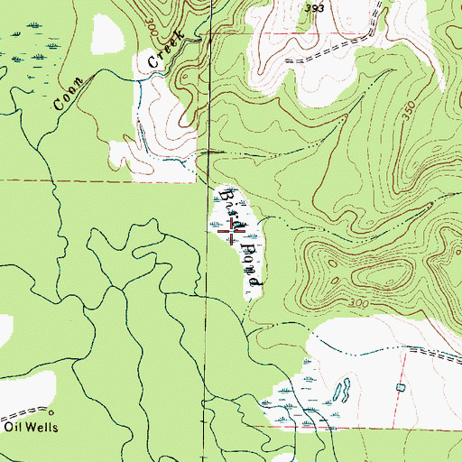 Topographic Map of Bird Pond, TX