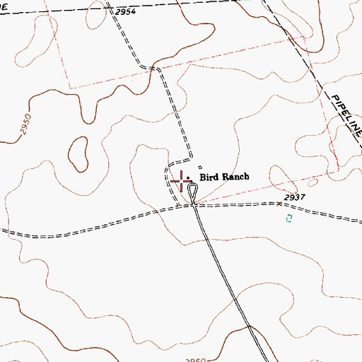 Topographic Map of Bird Ranch, TX