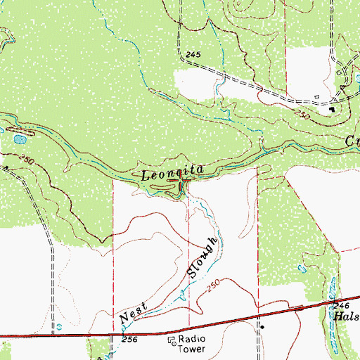 Topographic Map of Birds Nest Slough, TX