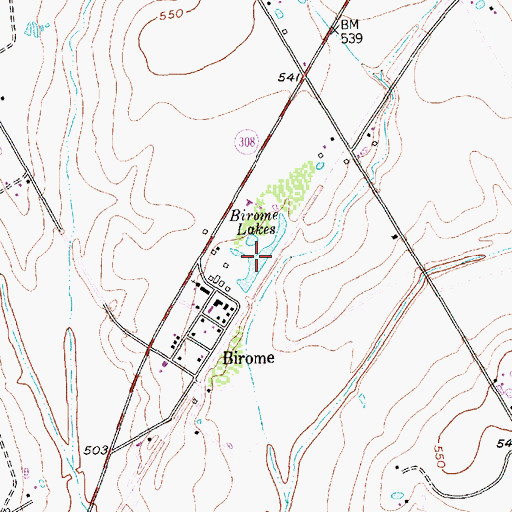 Topographic Map of Birome Lakes, TX