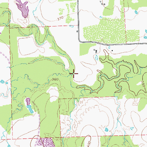 Topographic Map of Bishop Branch, TX