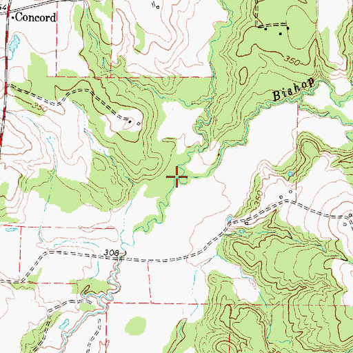 Topographic Map of Bishop Creek, TX