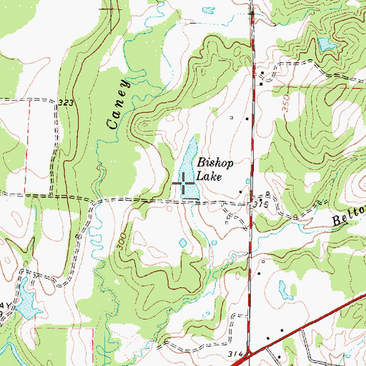 Topographic Map of Bishop Lake, TX