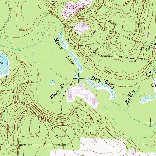 Topographic Map of Black Branch, TX