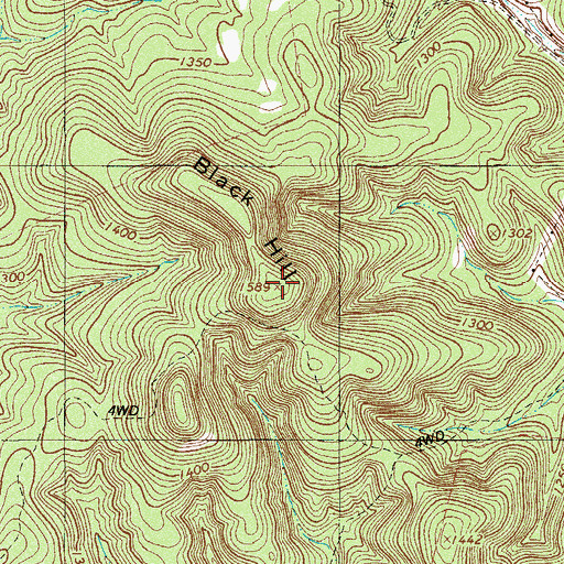 Topographic Map of Black Hill, TX