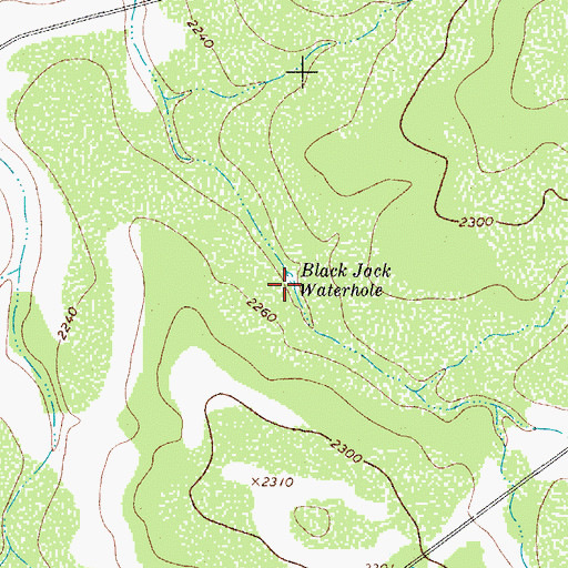 Topographic Map of Black Jack Waterhole, TX