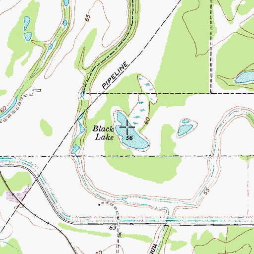 Topographic Map of Black Lake, TX