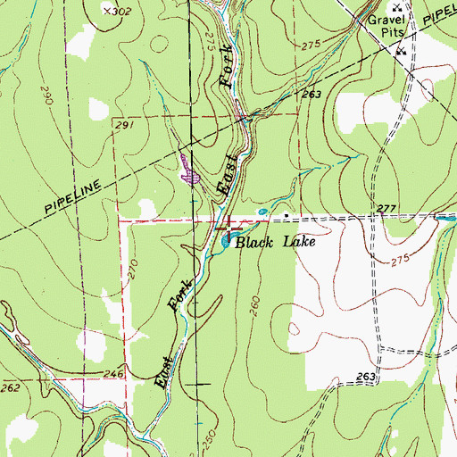 Topographic Map of Black Lake, TX