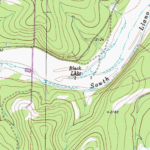 Topographic Map of Black Lake, TX