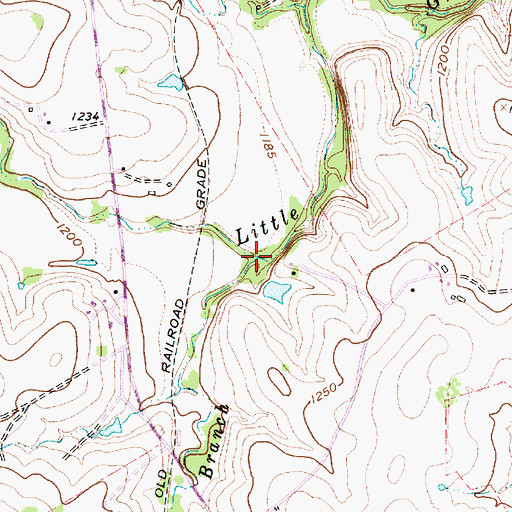 Topographic Map of Black Spring Branch, TX