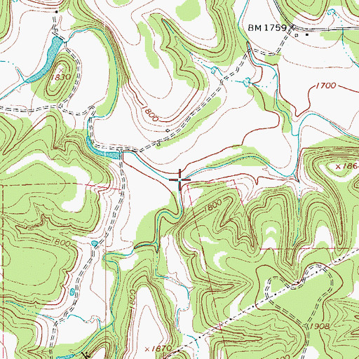 Topographic Map of Blackberry Creek, TX
