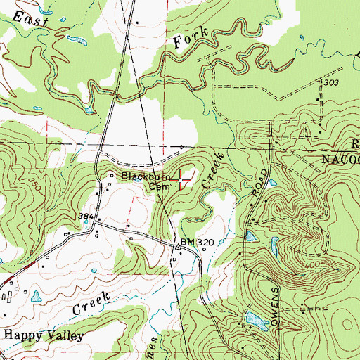 Topographic Map of Blackburn Cemetery, TX