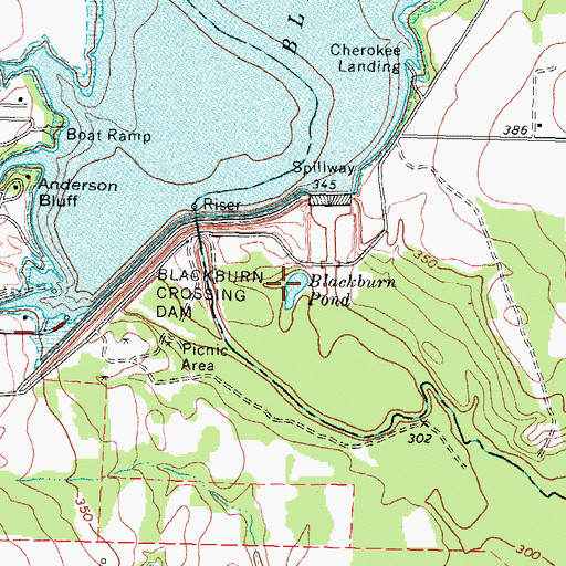 Topographic Map of Blackburn Pond, TX