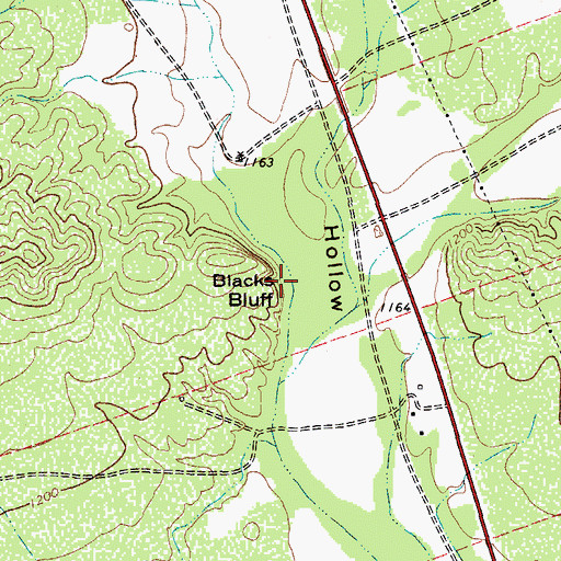 Topographic Map of Blacks Bluff, TX