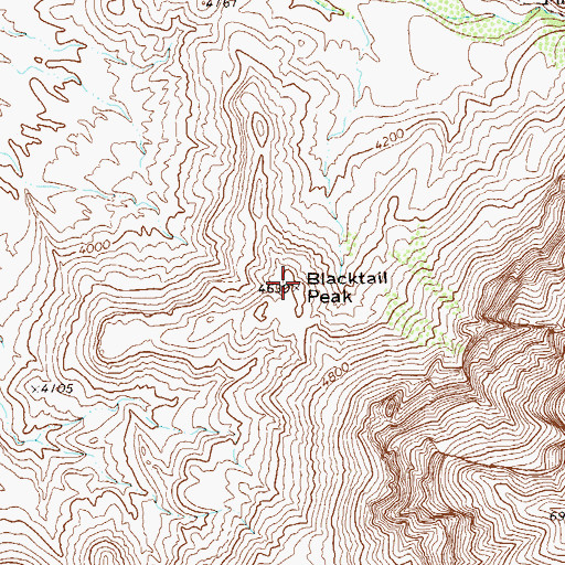 Topographic Map of Blacktail Peak, TX