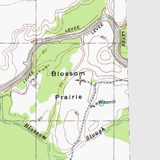 Topographic Map of Blossom Prairie, TX