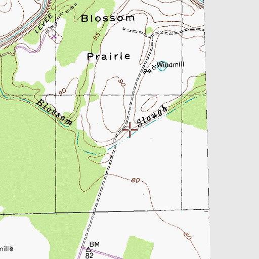 Topographic Map of Blossom Slough, TX