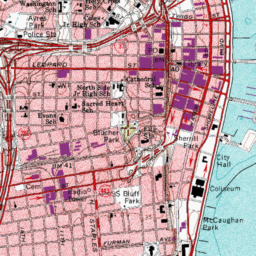 Topographic Map of Blucher Park, TX