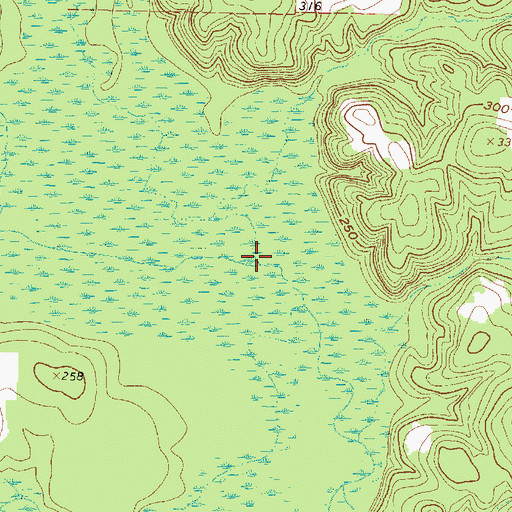 Topographic Map of Blue Branch, TX