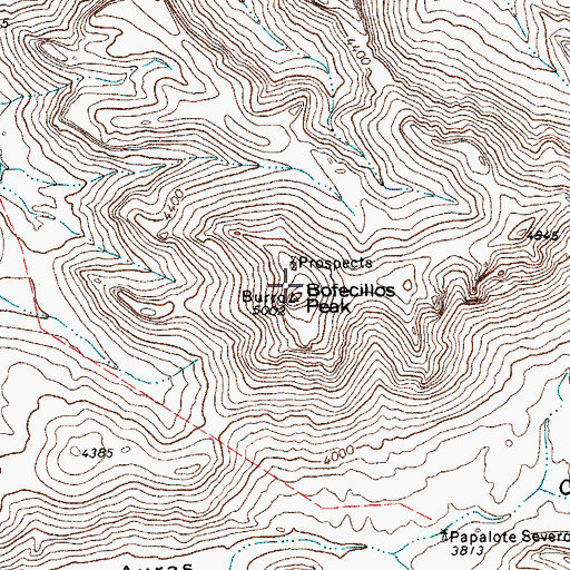 Topographic Map of Bofecillos Peak, TX
