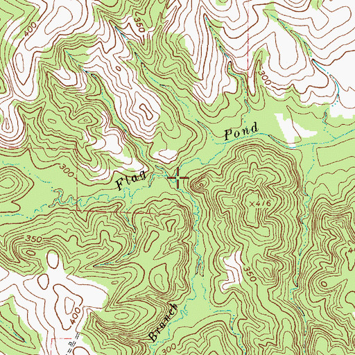 Topographic Map of Bogg Branch, TX