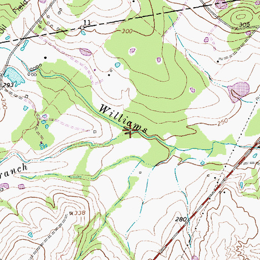 Topographic Map of Boggy Branch, TX