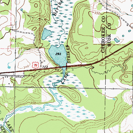 Topographic Map of Boggy Branch, TX