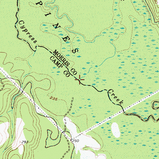 Topographic Map of Boggy Creek, TX