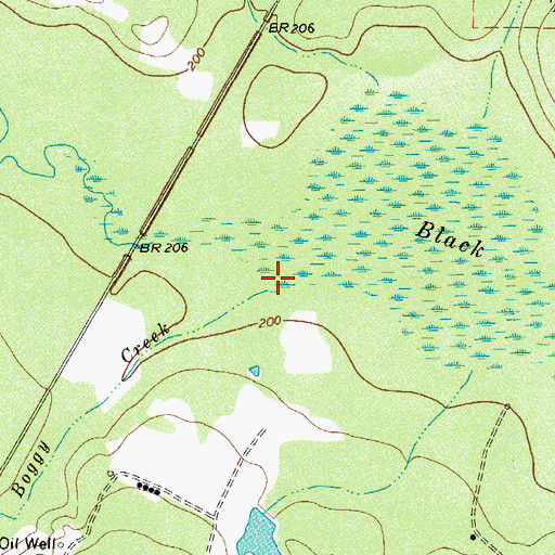 Topographic Map of Boggy Creek, TX