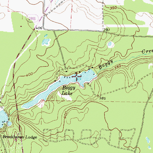 Topographic Map of Boggy Lake, TX