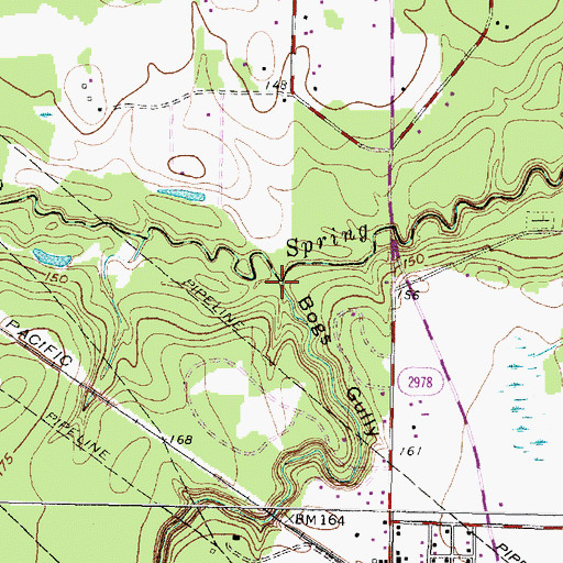 Topographic Map of Bogs Gully, TX