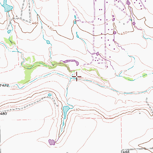 Topographic Map of Bone Branch, TX