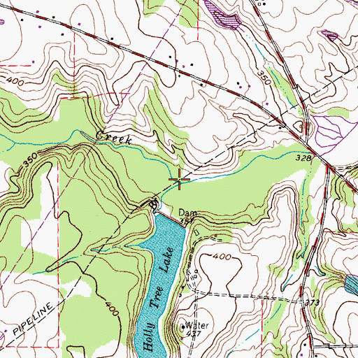 Topographic Map of Born Branch, TX