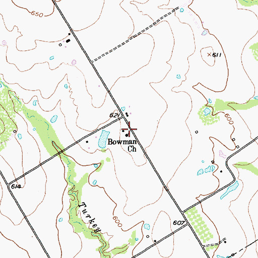 Topographic Map of Bowman Church, TX