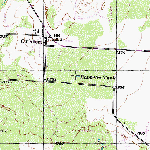 Topographic Map of Bozeman Tank, TX