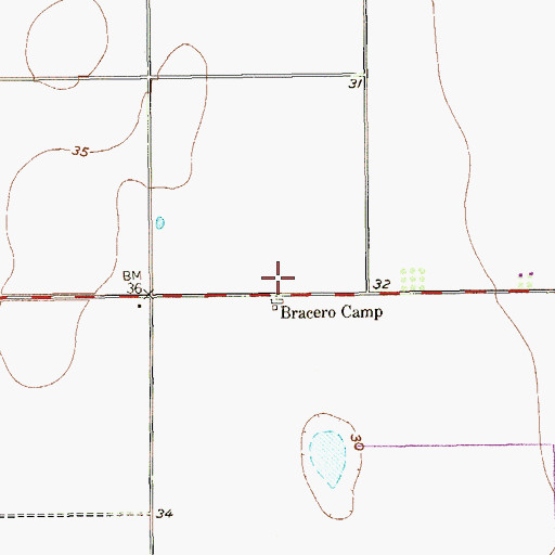 Topographic Map of Bracero Camp, TX